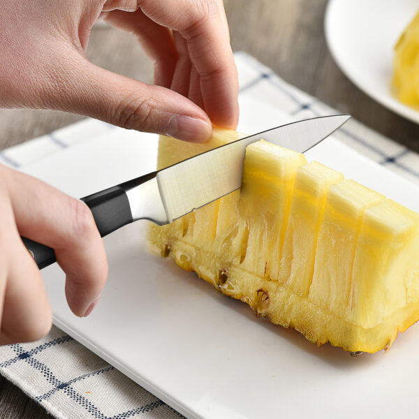 TONIFE KK1001 Paring Knife,Peeling Knife with Pakkawood Handle,3.5 Inch Kitchen Knife for Fruit and Vegetable